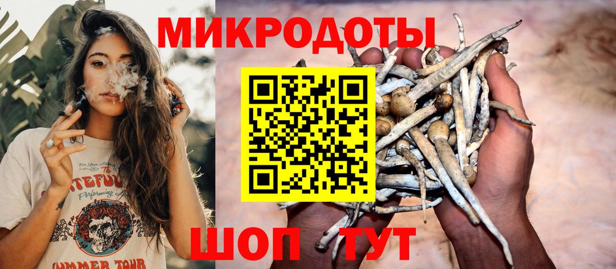 Галлюциногенные грибы мицелий Пенза