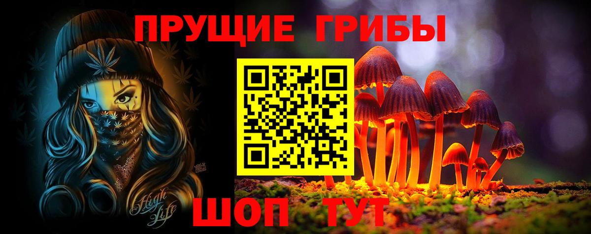 Галлюциногенные грибы Cubensis  Псилоцибиновые грибы мухоморы  Пенза  Вход с VPN 